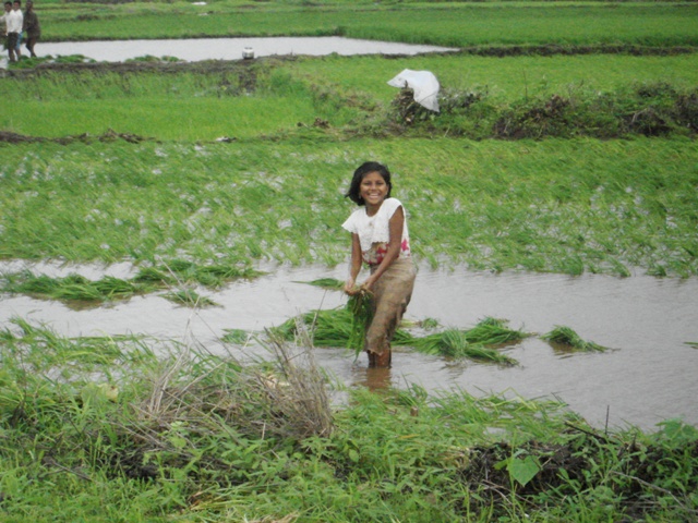 Kids have all the fun...and the smile says it all. Transplanting paddy in a field near Igatpuri.